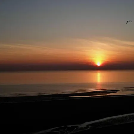 La Naturelle Duplex 90 וימרה